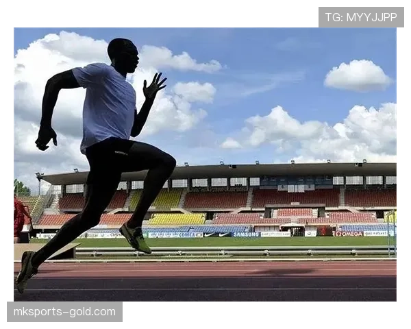 球门尺寸标准：宽度7.32米、高度2.44米的规则依据