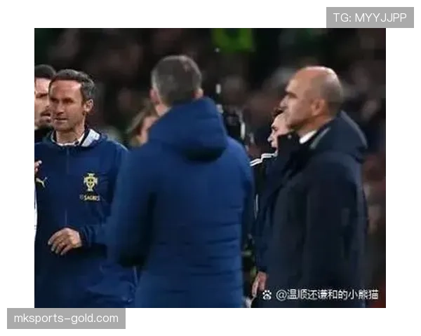 视频回放判罚规则解析:什么情况下可以启动回看? 视频回放判罚规则解析:什么情况下可以启动回看?